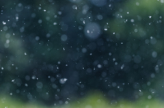新緑に降る雪