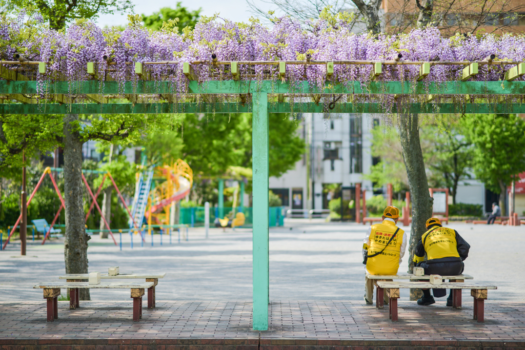 花の下でもう一花