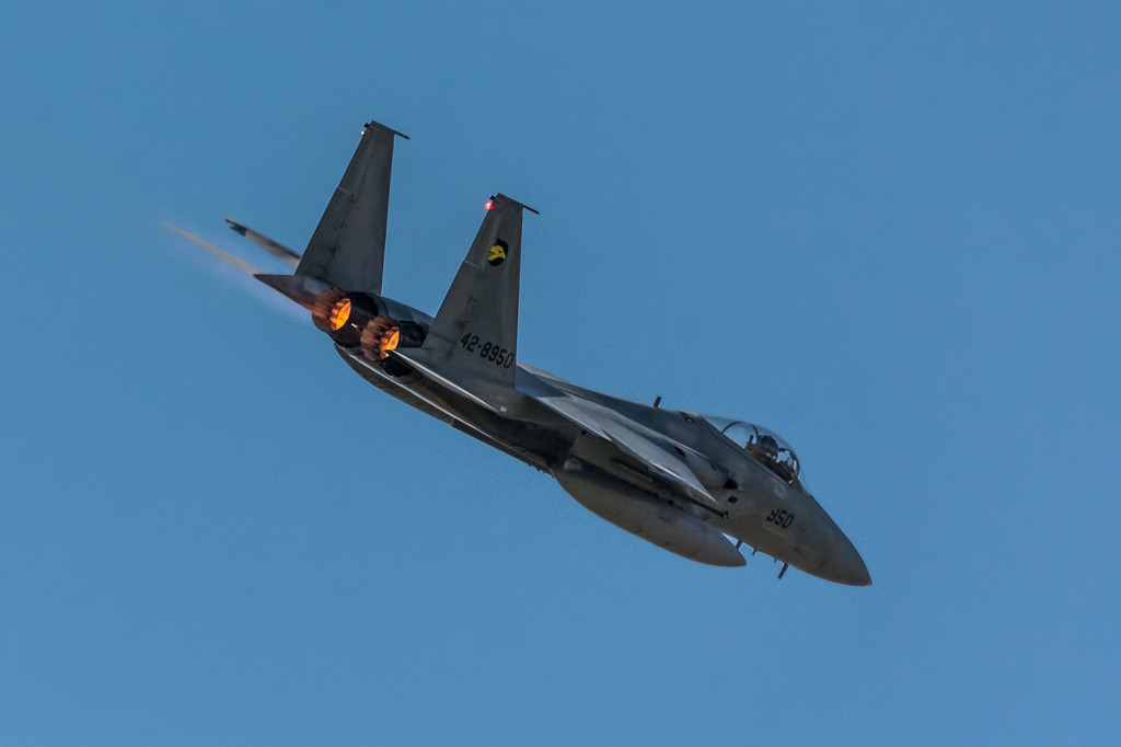 F-15J　主力戦闘機(要撃機)  1/9