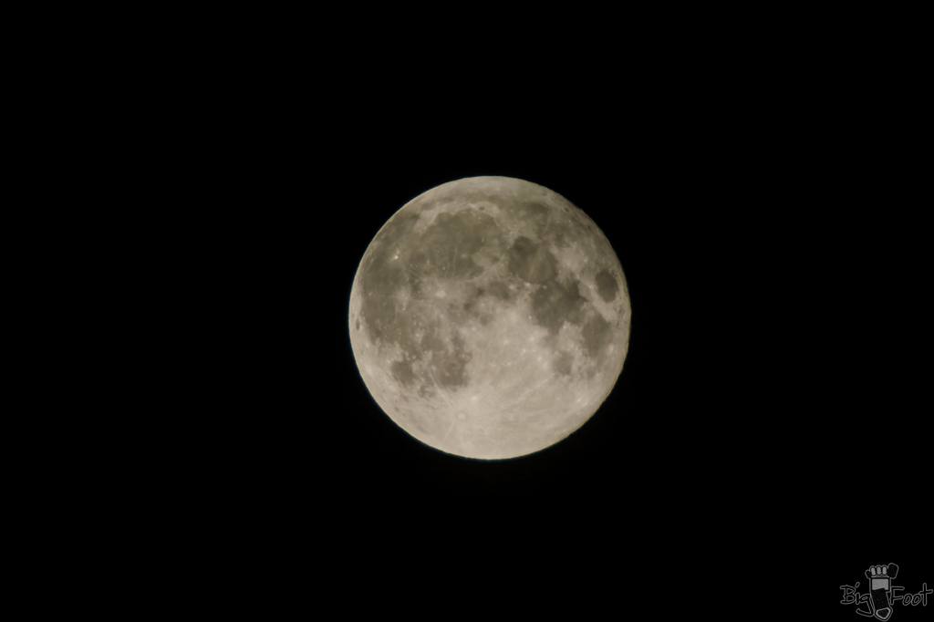 スーパームーン2　(1170mm F5.6)