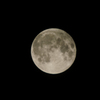 スーパームーン2　(1170mm F5.6)