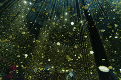 LIGHT is TIME　04