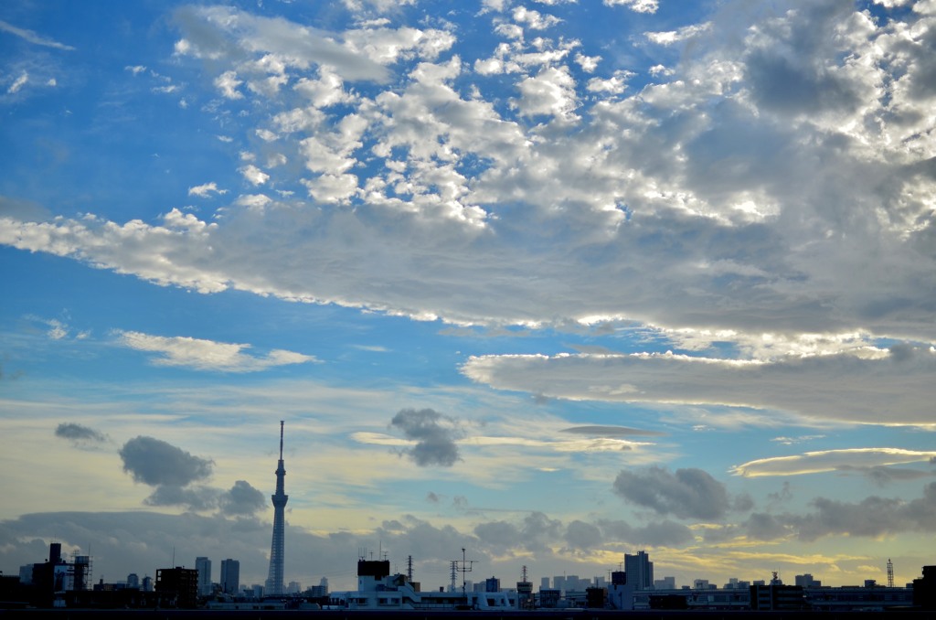 スカイツリーと雲