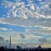 スカイツリーと雲