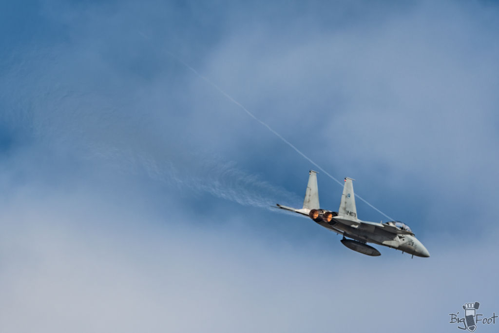 F-15ブラスト 1/4