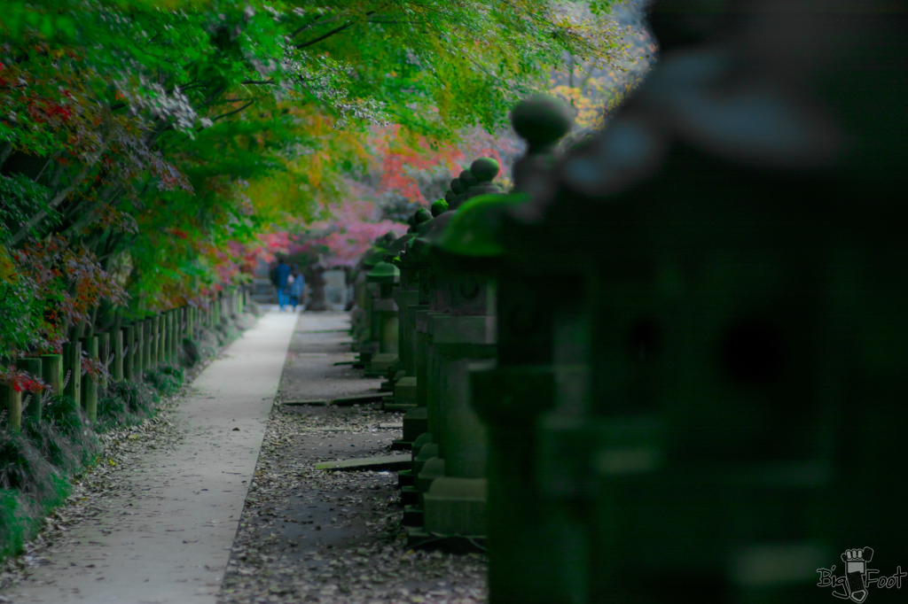 灯篭道