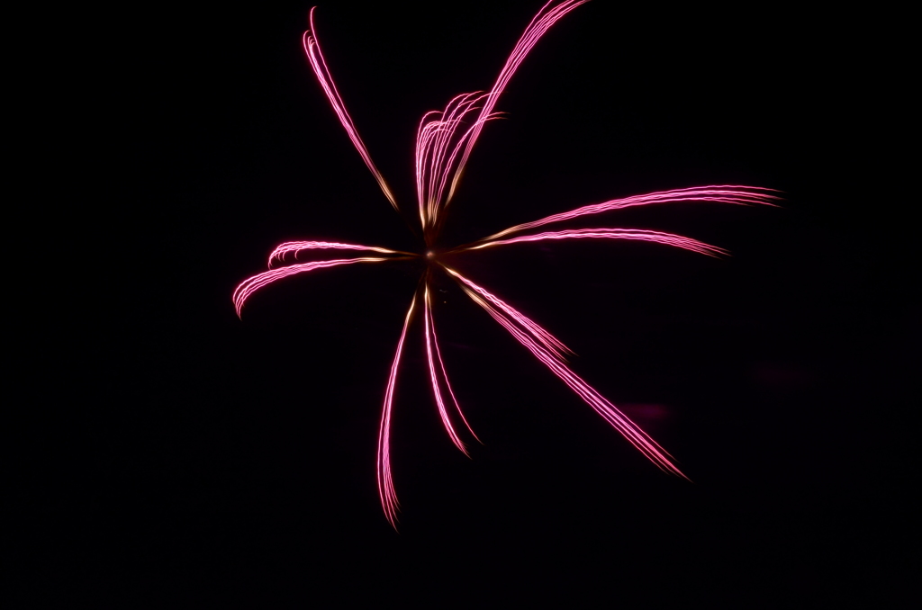 西武園遊園地の花火 2