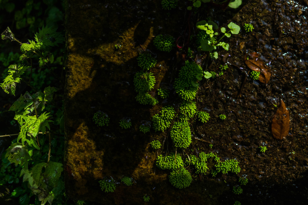 大事の前の小事