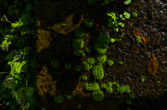 大事の前の小事