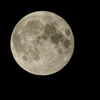 スーパームーン1　(1638mm F8)