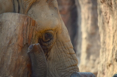 2013_02_23_多摩動物公園