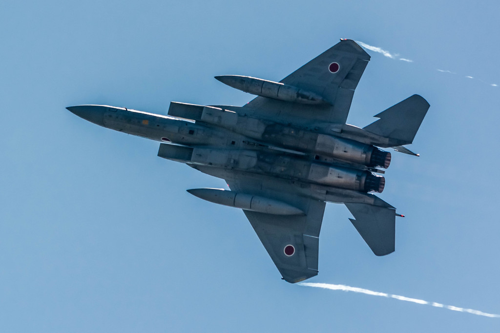 F-15J　主力戦闘機(要撃機)  6/9