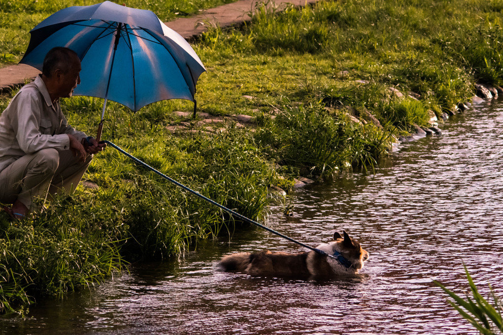 ご主人、今しばらく……！