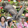 目の前を飛ぶ