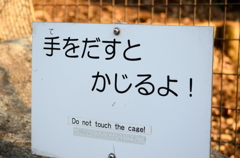 2013_02_23_多摩動物公園JPG (8)