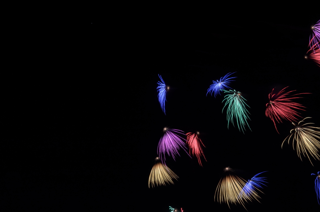 西武園遊園地の花火 3