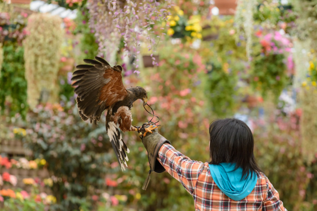 富士花鳥園