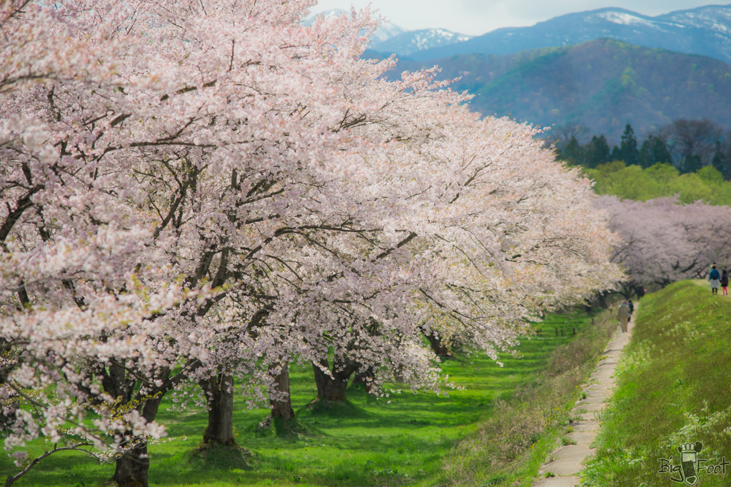 雫石川園地