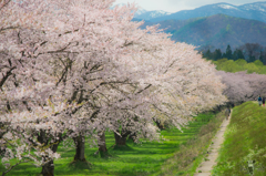 雫石川園地