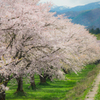 雫石川園地