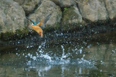 水飛沫！