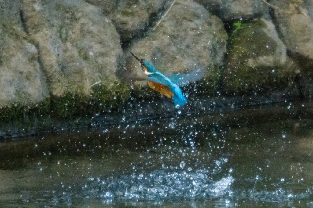 水飛沫と