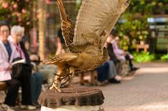 富士花鳥園フクロウショー　06