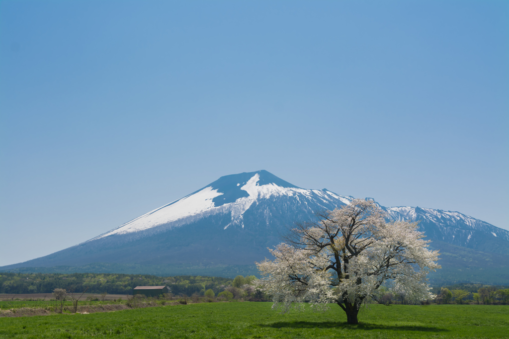 岩手の心の裏表　1/3