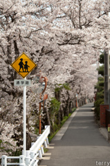通学路