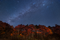 燃ゆる秋の夜