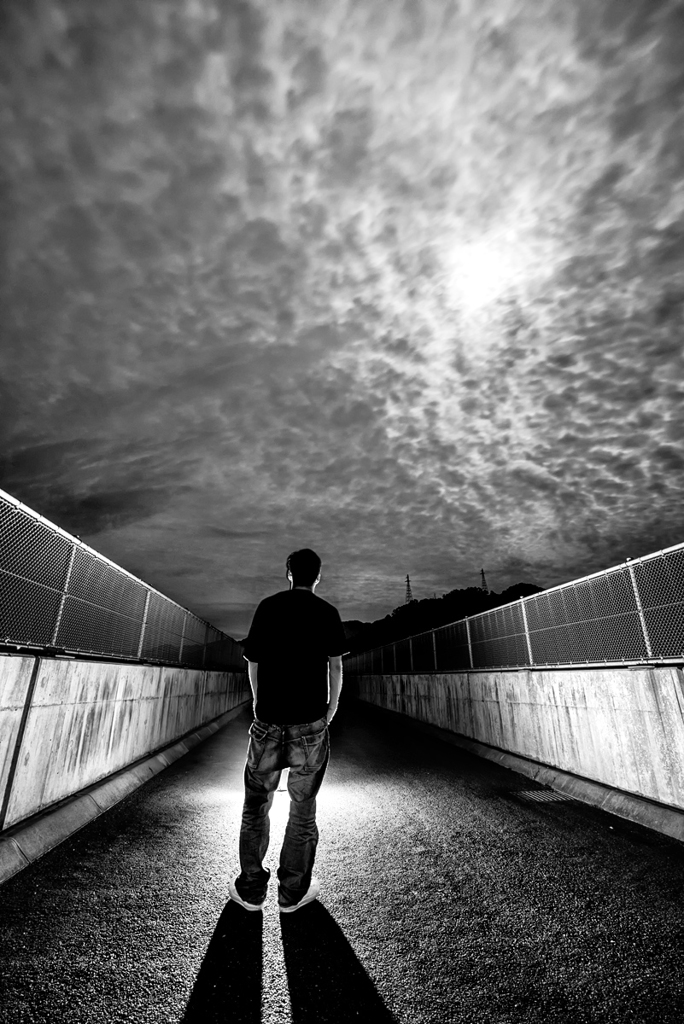 Monochrome nocturne *2