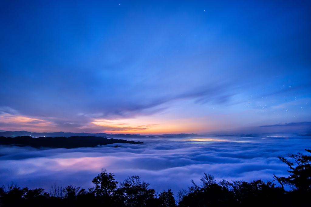 Morning glow *1