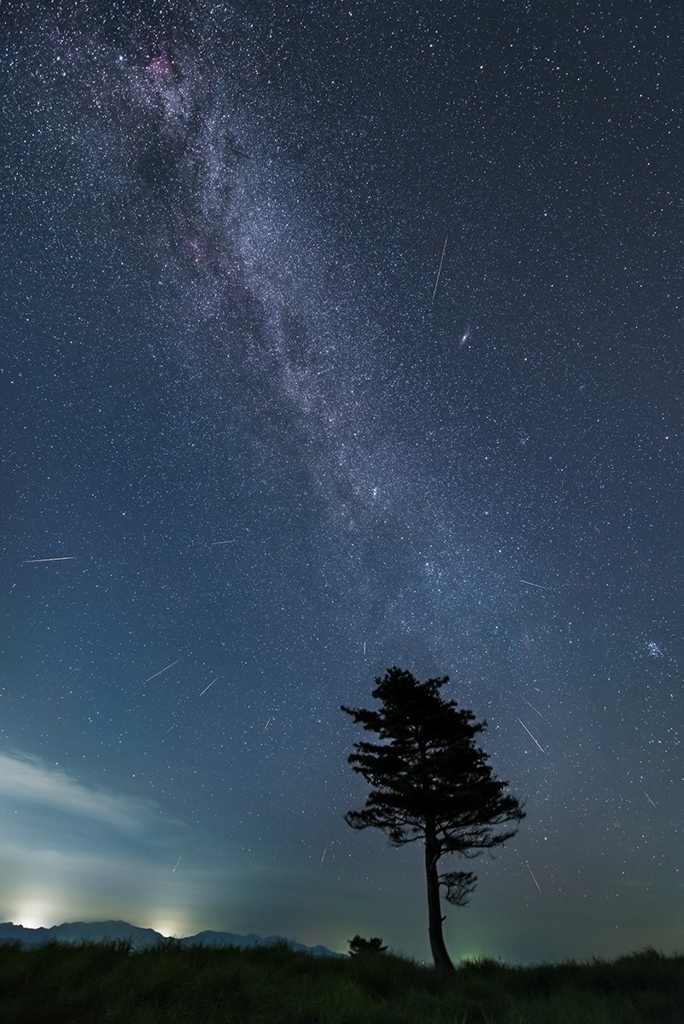 ペルセウス座流星群の夜*2