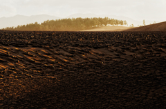 Dune of dusk SNAP*1