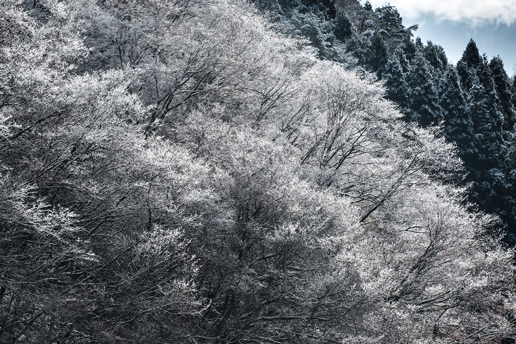 今年最初の雪の華*2