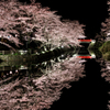 お堀の夜桜