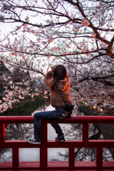 夕暮桜*1
