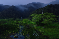 小雨蛍