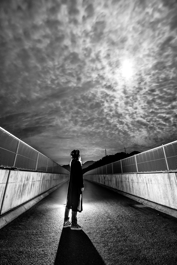 Monochrome nocturne *1
