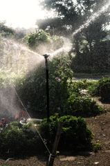 Sprinkler*1