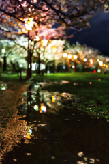 Quiet mood*1