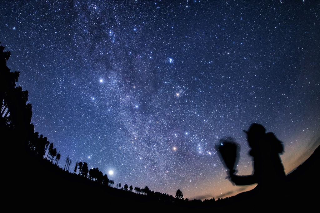 星の花束
