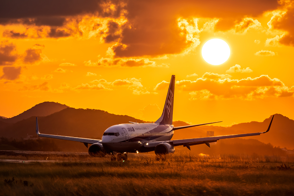黄昏時の着陸機*1