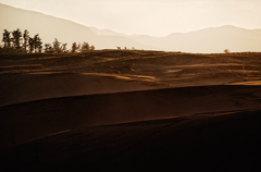 Dune of dusk SNAP*4