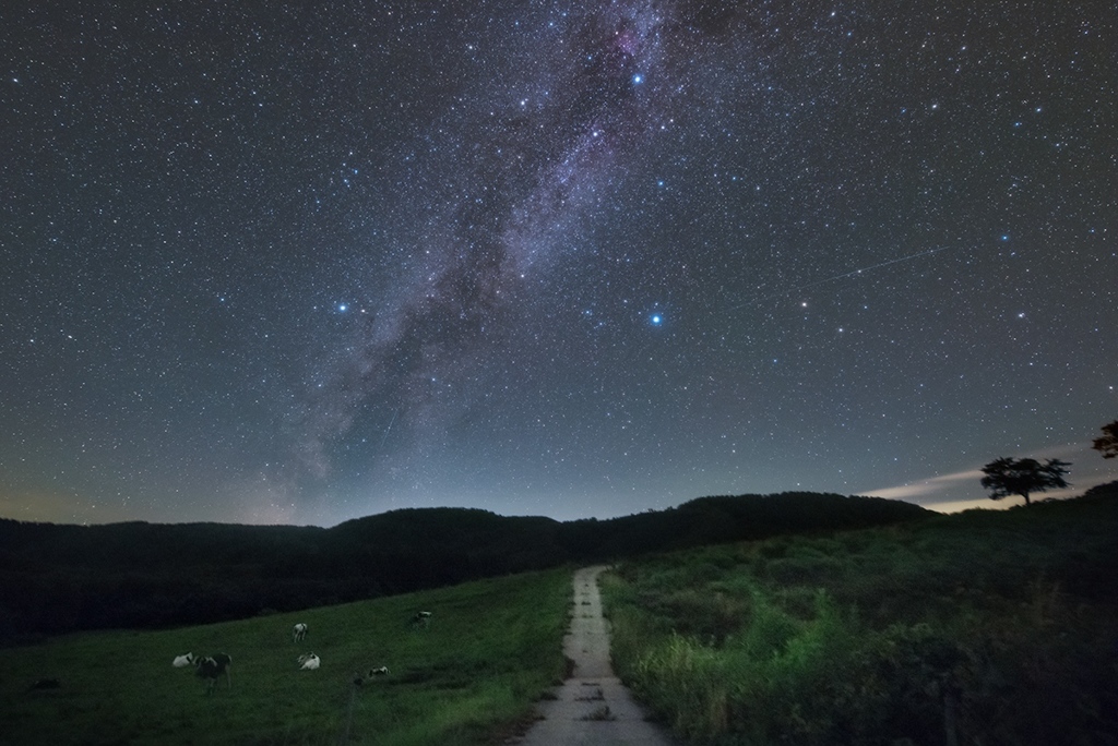 星空牧場