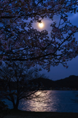 月と桜*1