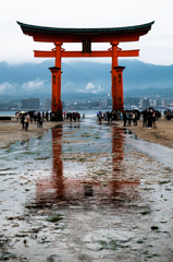 雨の宮島 *1