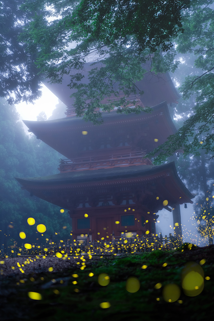 幻想の世界へ誘われ