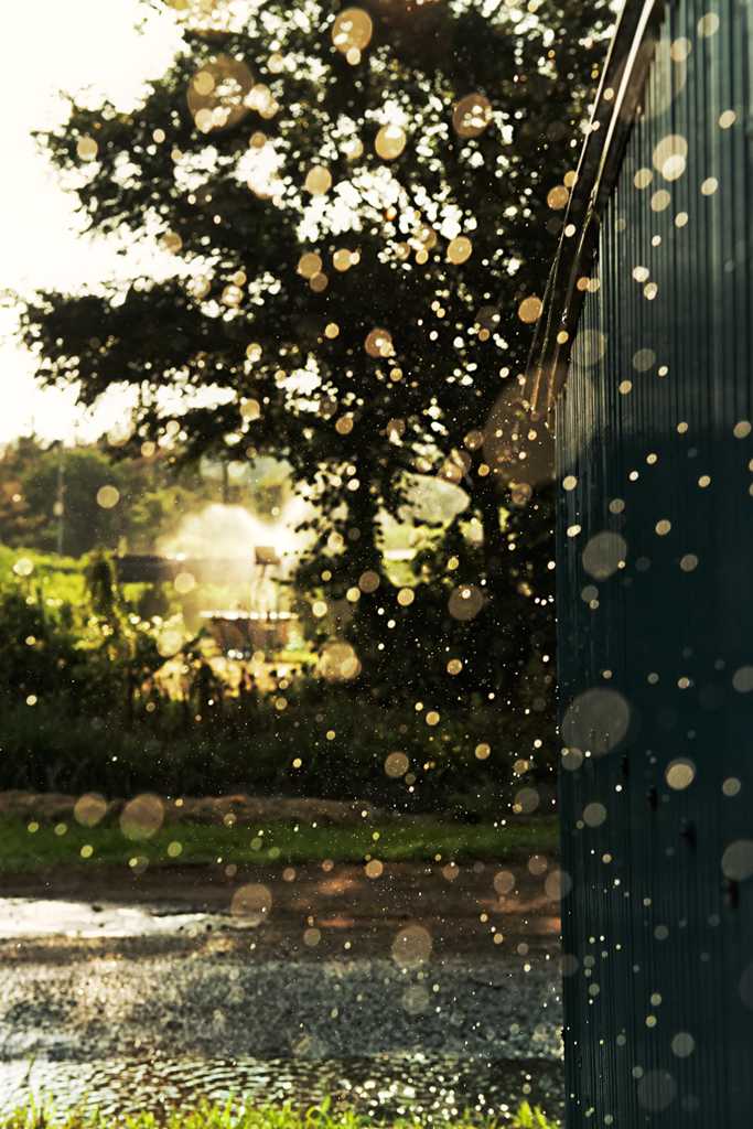 Sprinkler*2