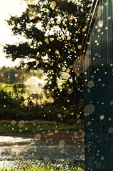 Sprinkler*2